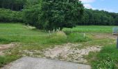 Tocht Stappen Durbuy - Bomal sur Ourthe 170625 - Photo 13