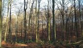 Tour Wandern Hoeilaart - Hoeilaart-Tervuren 2020 01 21 Groene Gordel 3 - Photo 12