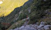 Tocht Stappen Samoëns - SAMOENS: LAC DES CHAMBRES - Photo 2