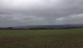 Tocht Stappen Comblain-au-Pont - comblain . ferme de raideux . mont . bois de monty . mont . roches noires . comblain   - Photo 11