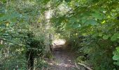 Trail Walking Asse - S-GR Groene Gordel: Mollem - Ternat - Photo 11