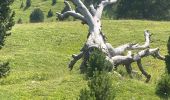 Percorso Marcia Châtillon-en-Diois - Vallon de Combau  - Photo 1