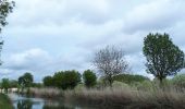 Randonnée Marche Rochefort-sur-Nenon - Rochefort à Dole par Canal AR - Photo 6