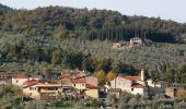 Tocht Te voet Radda in Chianti - IT-27 - Photo 3