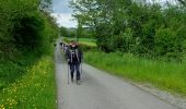 Trail Walking Sivry-Rance - RANCE (musée du marbre) - Photo 1