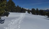 Tour Schneeschuhwandern Les Angles - 2021-02-11 Sortie CAF - Les Angles - vers les Camporells - Photo 5
