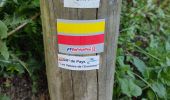Randonnée Marche Igny - Vauboyen depuis Igny et la forêt de Verrieres - Photo 1