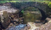 Trail Walking Théminettes - Theminette  - Photo 1