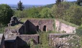 Tour Zu Fuß Herbolzheim - Bleichheim Hubertuswinkel - Vogtskreuz - Photo 3