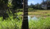 Trail Nordic walking Sainte-Anne - La boucle St Anne  - Photo 1