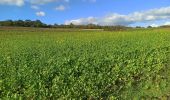 Randonnée Marche nordique Rouvroy - Couvreux - Photo 3