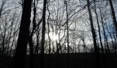 Trail Walking Radepont - 20211204-Radepont - Photo 9