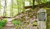 Trail On foot Tübingen - Geologischer Lehrpfad - Photo 7