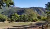 Tour Wandern Valbeleix - AUVERGNE  MARCENAT (63) - Photo 2