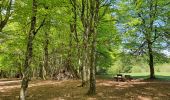 Tocht Stappen Violay - Violay - La Tour Matagrin - Photo 6