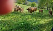 Randonnée Marche Corrençon-en-Vercors - balladecavec les copines - Photo 12