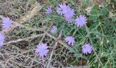 Trail Walking Yvoir - Yvoir, boucle sur les roches, réserve de Champalle - Photo 2