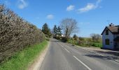 Tocht Te voet Unknown - Corvedale Three Castles Walk - Photo 4