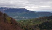 Tour Wandern Proveysieux - L'Oeuillon de Proveyzieux et La Grotte de la Barre Mangin - Photo 3