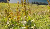 Trail Walking Beaufort - monts des aurais, lac St guerrin - Photo 5