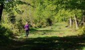 Tocht Stappen Libin - SMUID ... par le sentier des Nutons. - Photo 4