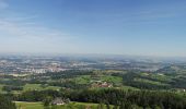 Tour Zu Fuß Garsten - Hufeisen Rundweg - Photo 3