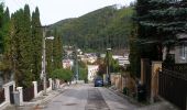 Excursión A pie okres Trenčín - Náučný chodník Čvirigovec - Photo 10