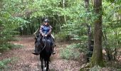 Trail Horseback riding Bastogne - Livarchamps 24/09 - Photo 5