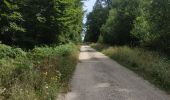 Trail Walking Bouilly - Bucey 19 Juillet 2022 - Photo 5