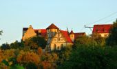 Excursión A pie Neckarwestheim - N2 Von der Neckarburg zum Liebensteiner Schlossberg - Photo 1