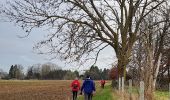 Trail Walking Jemeppe-sur-Sambre - 2020-01-18 Spy 22 km - Photo 9