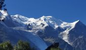 Percorso Marcia Chamonix-Mont-Blanc - CHAMONIX ... le chalet de la Floria. - Photo 1