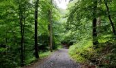 Trail Walking Rochefort - La promenade du Gouffre et des rapides de la lesse (les bouvreuils) - Photo 5