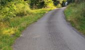 Trail Walking La Roche-en-Ardenne - promenade 4 et 5 pour le groupe du jeudi - Photo 20