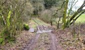 Trail Walking Bastogne - Lutrebois 150224 - Photo 9