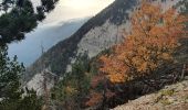 Trail Walking Beaumont-du-Ventoux - Mts Serein, Ventoux, tête de la Grave - Photo 12