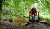 Excursión Bici de montaña Pont-l'Abbé - VTT 2023  Les étangs Ouest Pont L'abbé - Photo 4