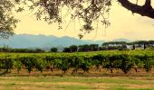 Tour Wandern Calvi - Calvi - Capu di a Veta - Croix des autrichiens - Photo 4