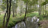 Trail Walking Pelt - De Wulp Hageven Grote Heide 24 km - Photo 2