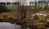 Trail Walking Waimes - La fagne de Sourbrodt   - Photo 5