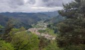 Trail Walking Saint-Martin-de-Valamas - Saint-Martin-de-Valamas . De pierres et d'or - Photo 10