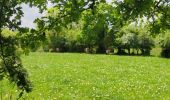 Percorso Marcia Torigny-les-Villes - Boucle depuis le Val de Vire - Photo 10