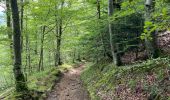 Trail Walking Murat-le-Quaire - Puy Loup- Banne d’Ordanche-Gacherie - Photo 2