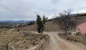 Trail Walking Port-Vendres - anse des paulilles - cap bear / retour par les vignes - Photo 3