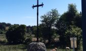 Tour Wandern Peyre en Aubrac - le rocher du Cher - Photo 14