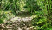 Trail Walking Les Salces - Las rajas - St Chely - Photo 2
