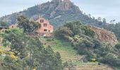 Tour Wandern Saint-Raphaël - Mt Vinaigre et Suvières depuis Roussiveau - Photo 4