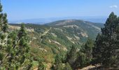 Trail Walking Vialas - mas de la barque - Photo 1
