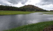 Tocht Stappen Aydat - Puys de Lassolas, de la Vache, de Vichatel 5.5.24 - Photo 12