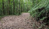 Trail Walking Sainte-Luce - Forêt de Montravail  - Photo 14